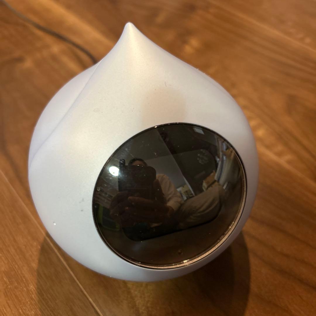 Romi ロミィ会話AIロボット　希少ブルー