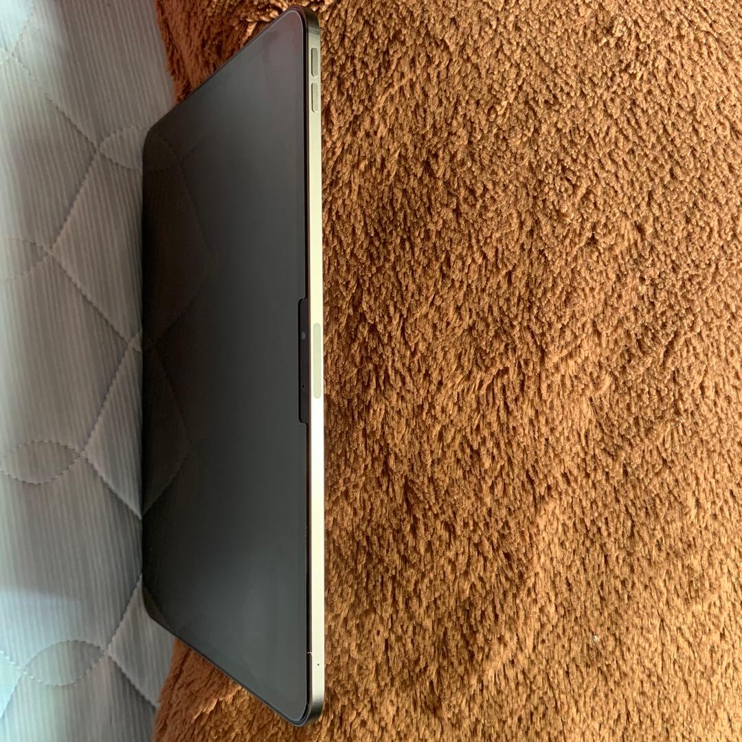 美品iPad Pro11インチ第5世代m4チップ