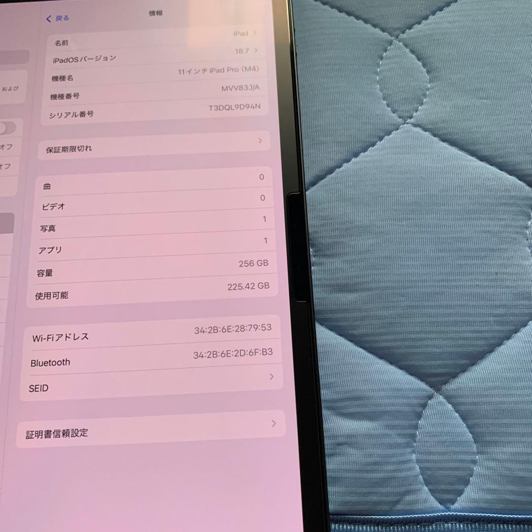 美品iPad Pro11インチ第5世代m4チップ