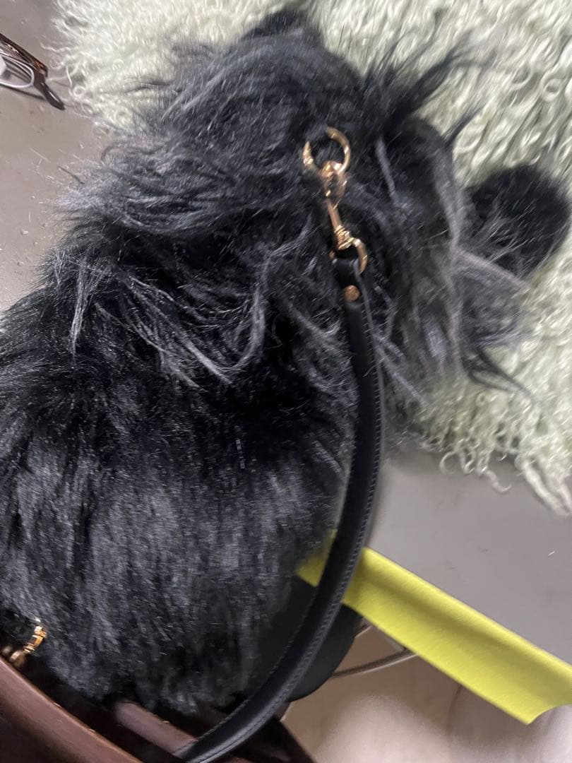 ぶ*ん様 リアル黒猫ぬいぐるみ ストラップ付き