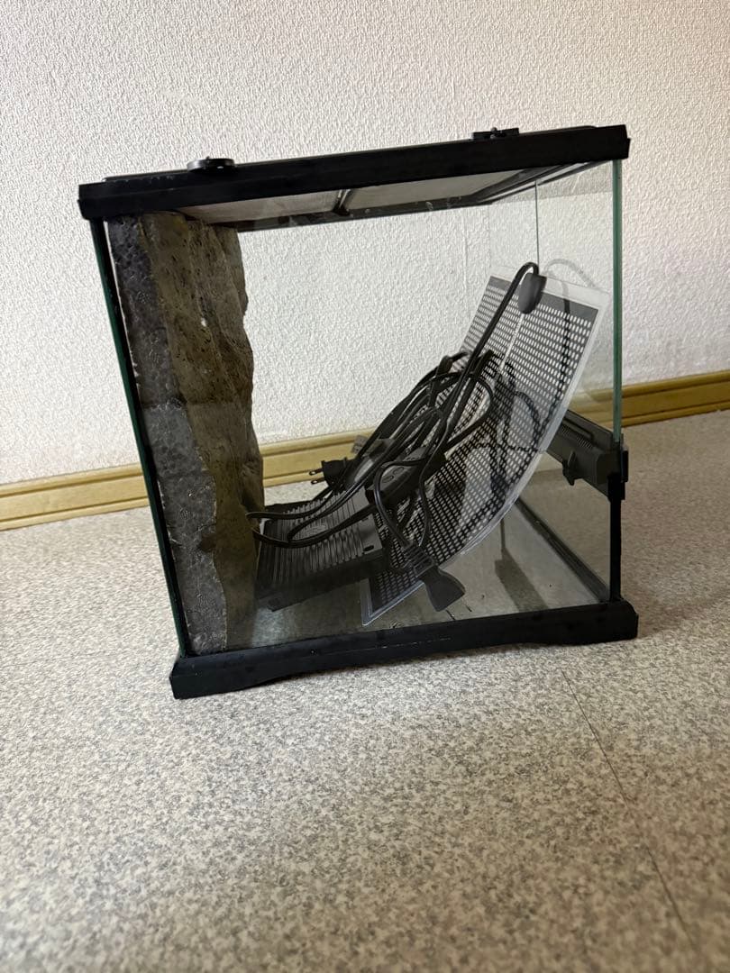 グラステラリウム3030 飼育セット