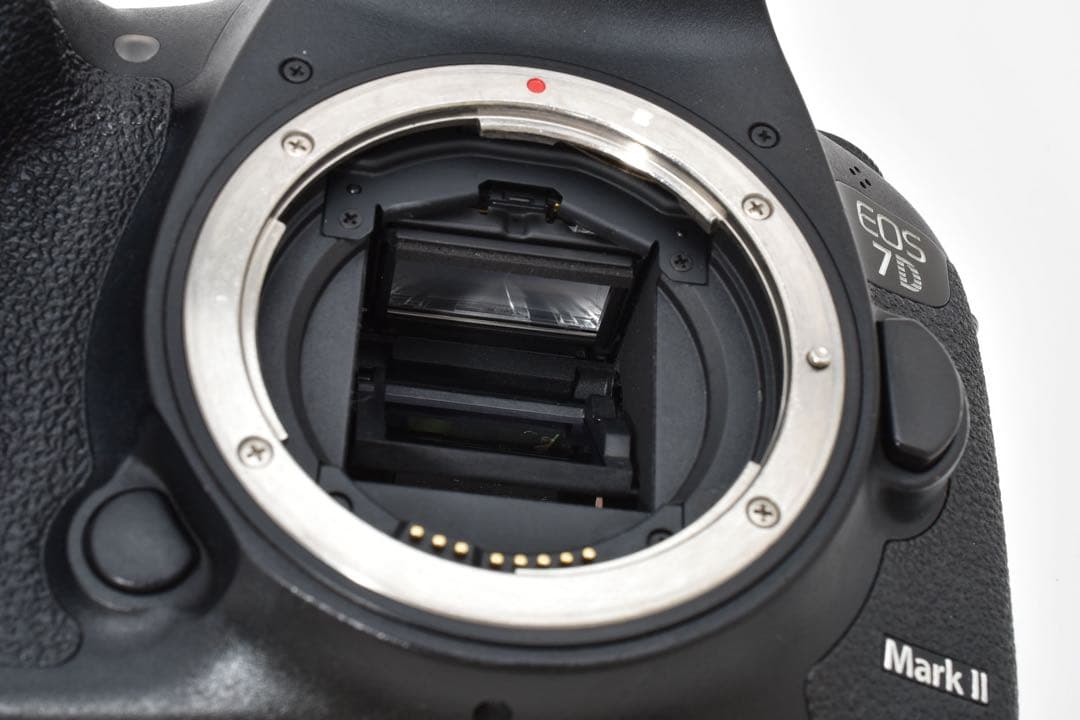 デジタル一眼レフカメラ /Canon EOS 7D MarkⅡ レンズセット