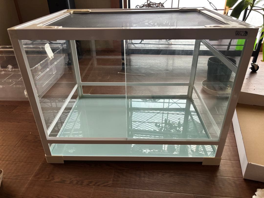 【大陸】三晃商会 パンテオン