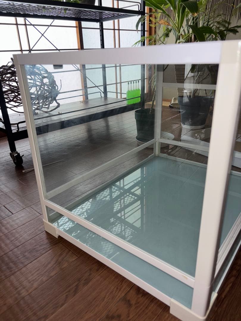 【大陸】三晃商会 パンテオン