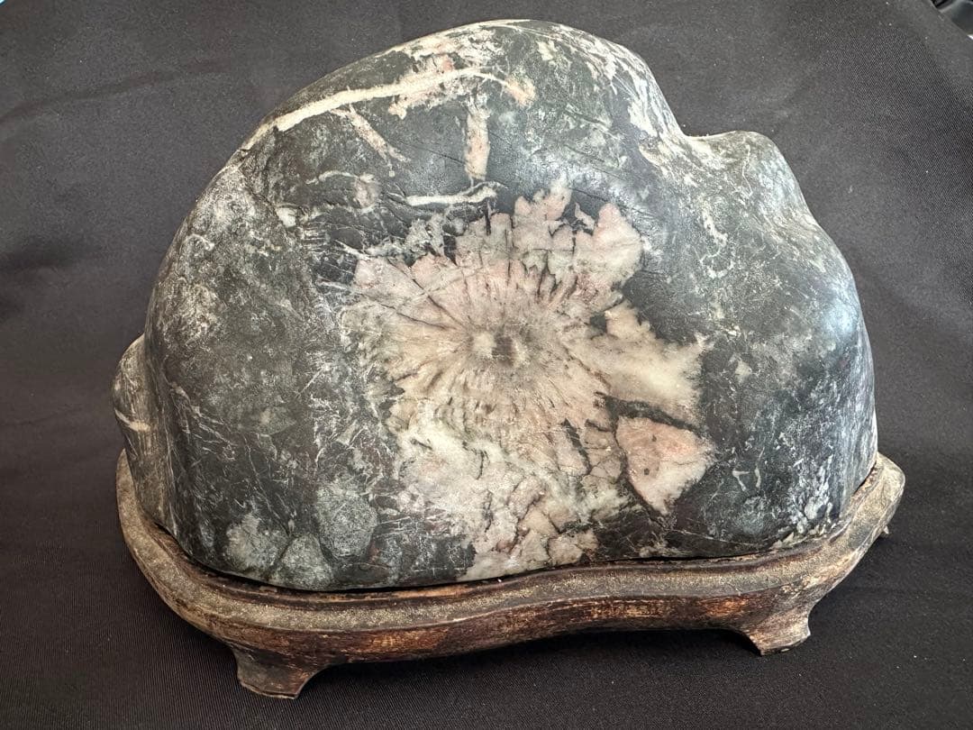 菊花石 薄紅菊&白菊 2.5kg 手彫り台座付き/水石 鑑賞石 鉱物