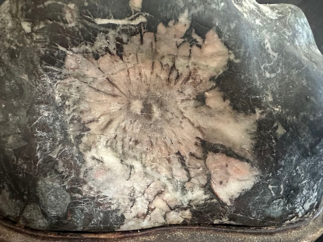 菊花石 薄紅菊&白菊 2.5kg 手彫り台座付き/水石 鑑賞石 鉱物