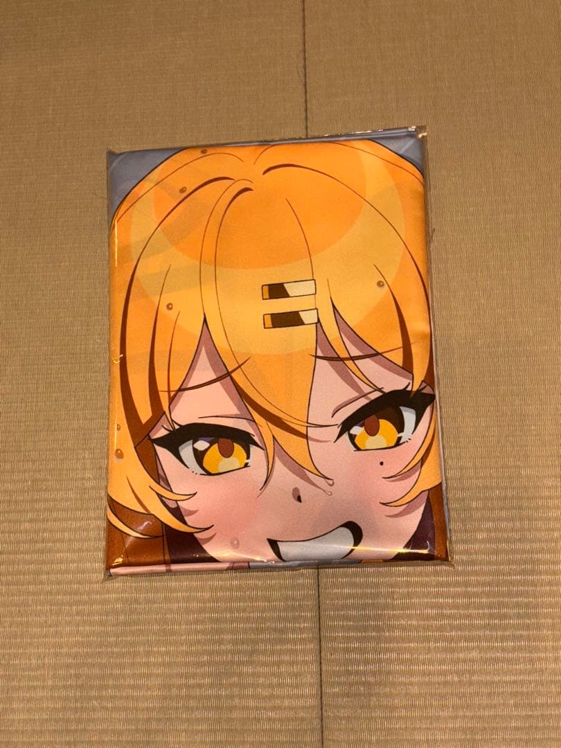 ぬきたし　くじ引き堂　選べる！特大布ポスター　S賞片桐奈々瀬　＋おまけ