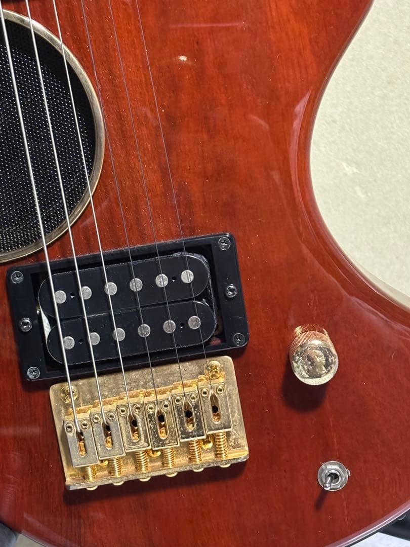 FERNANDES DIGI-ZO HYPER エレキギター ソフトケース付き