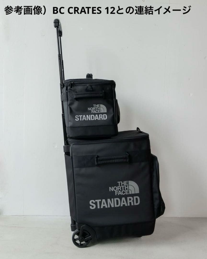 【限定】TNF STANDARD 7インチ用レコードバッグ