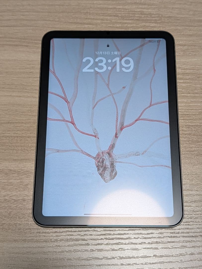 iPad mini 第6世代 64GB WiFi 充電器なし バッテリー100％
