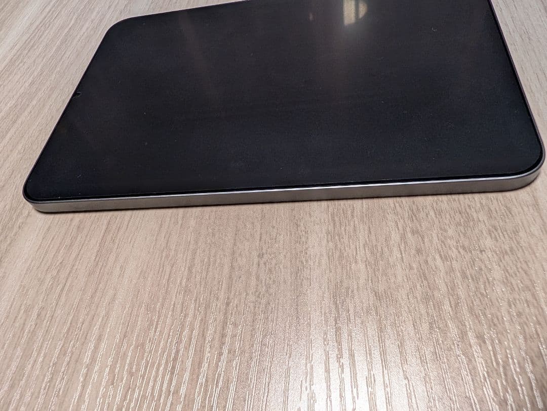 iPad mini 第6世代 64GB WiFi 充電器なし バッテリー100％