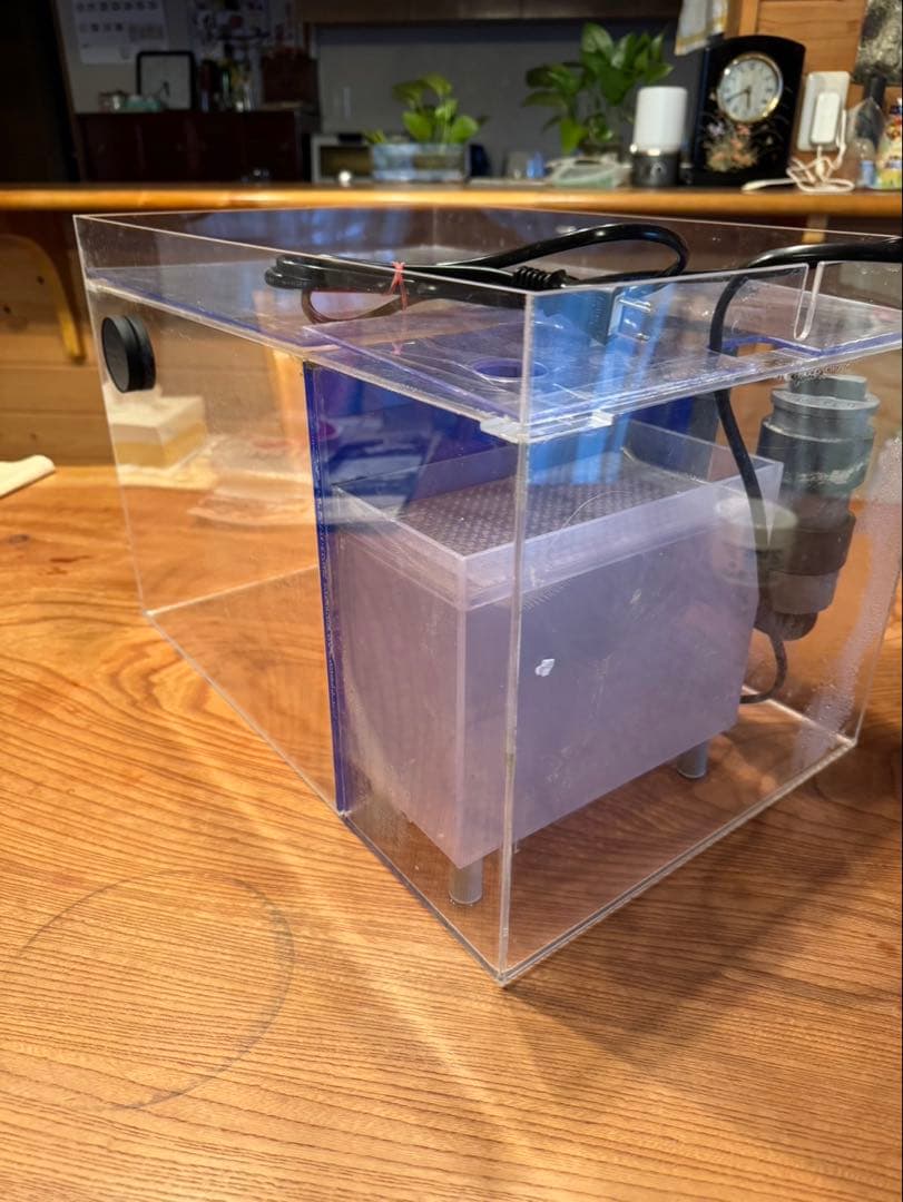 【日海センター】アクリル水槽 かんたん槽NK