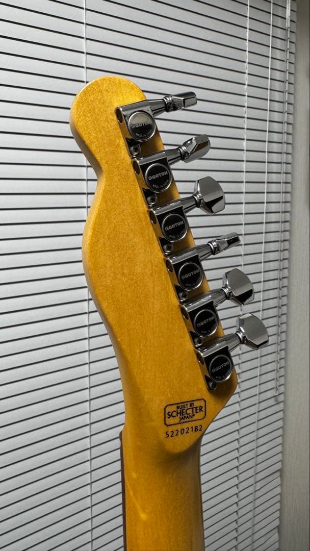 SCHECTER 凛として時雨 TKモデル PA-LS/TK