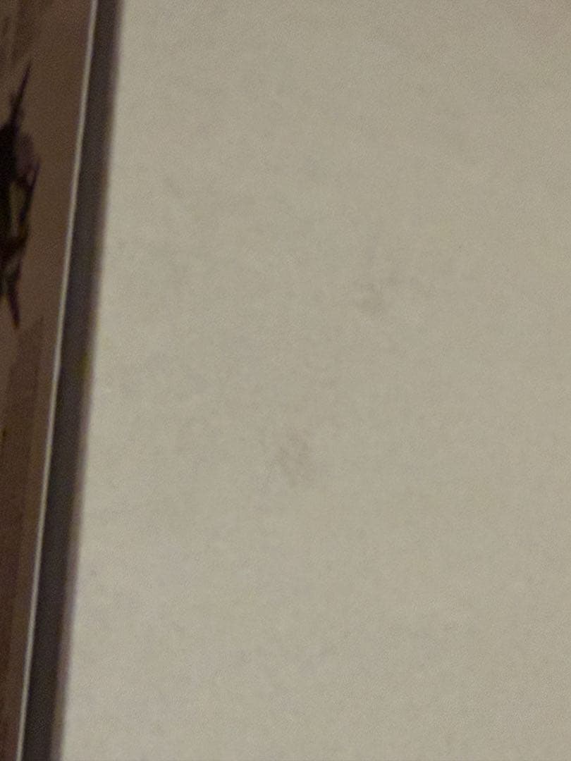 新品 ガンプラ MG 1/100 ZZダブルゼータガンダム Ver.Ka プラモ