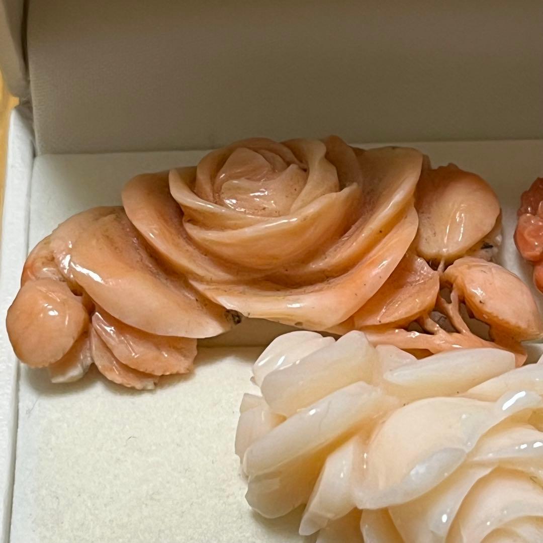 珊瑚アートサンゴ3個セット