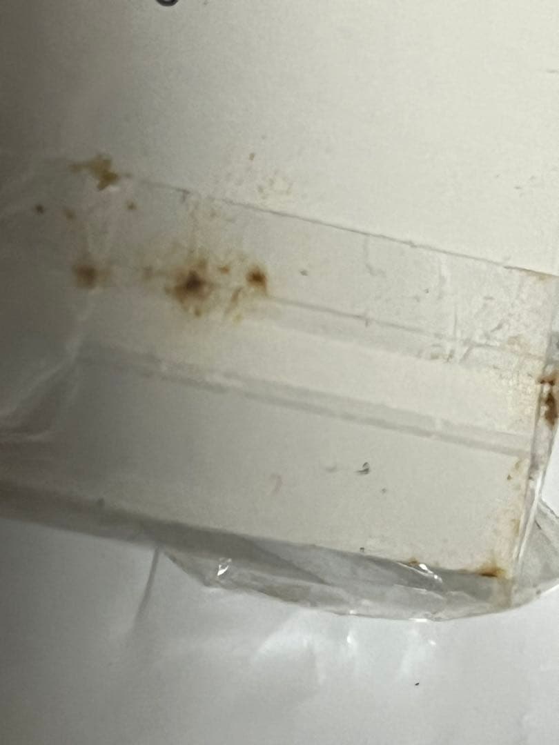 ご当地キューピーまとめ売り