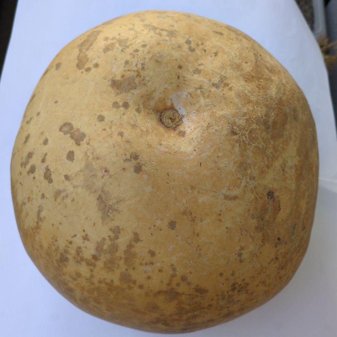 ひょうたん炭籠　内黒塗り ふくべ炭とり ひさごすみとり　茶道具　口切りの茶事