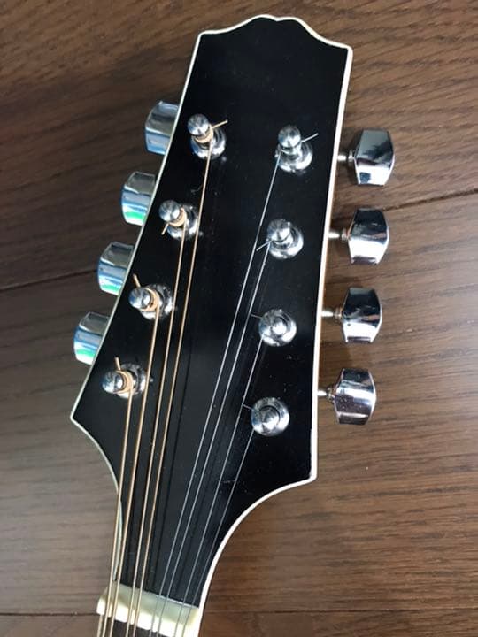 PLAYTECH フラットマンドリン