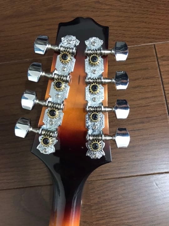 PLAYTECH フラットマンドリン