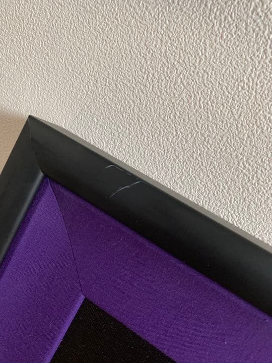 ホーンテッドマンション　絵　アート　ディズニー　レア　限定 ディズニーランド