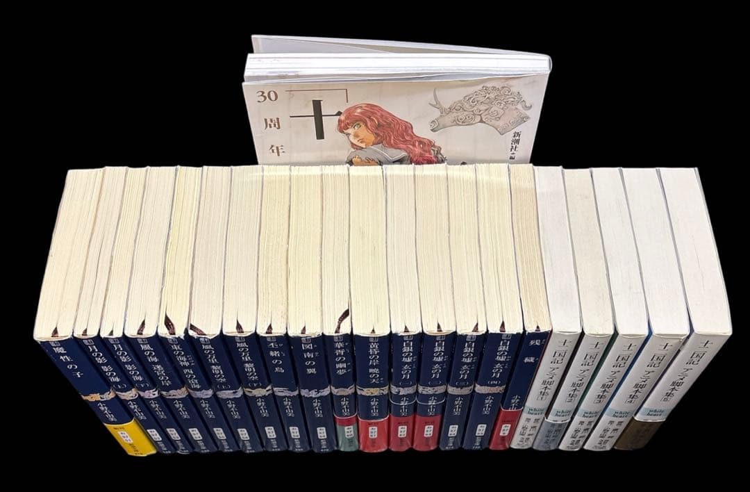 十二国記 残穢 小野不由美 ガイドブック アニメ脚本集 全22冊