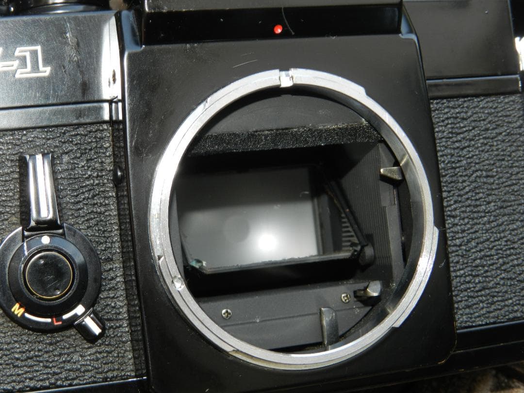 美品　Canon F-1+50mm 1.4 ssc S.S.C 即撮影可