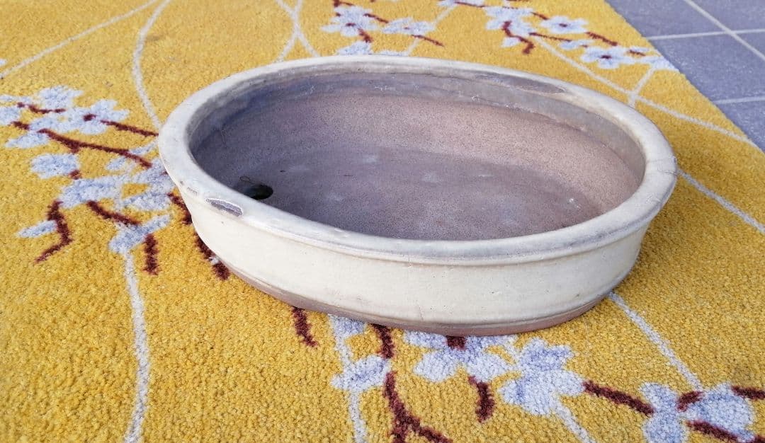 時代　紅端焼　楕円形　盆栽鉢　希少品