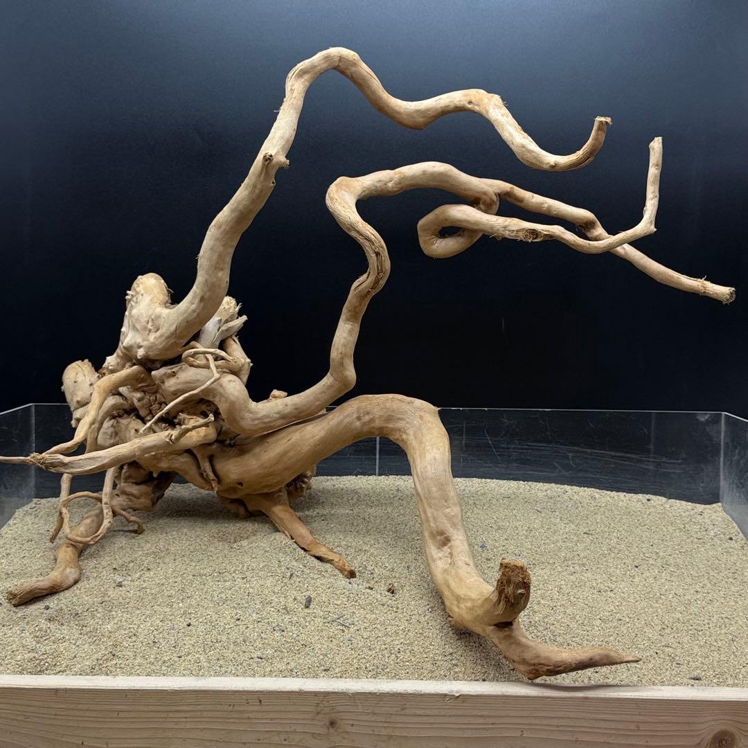 MDW-7000 特大ブランチウッド　流木　枝流木　アクアリウム