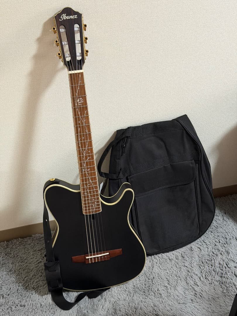 Ibanez TOD10N-TKF Tim Hensonモデル ナイロン弦ギター
