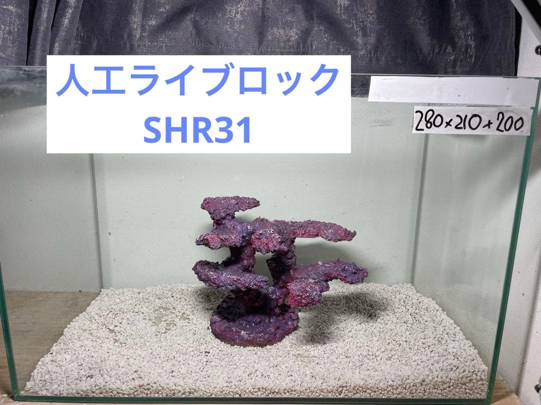 人工ライブロック　SHR31 アク抜き済み安心塗料使用