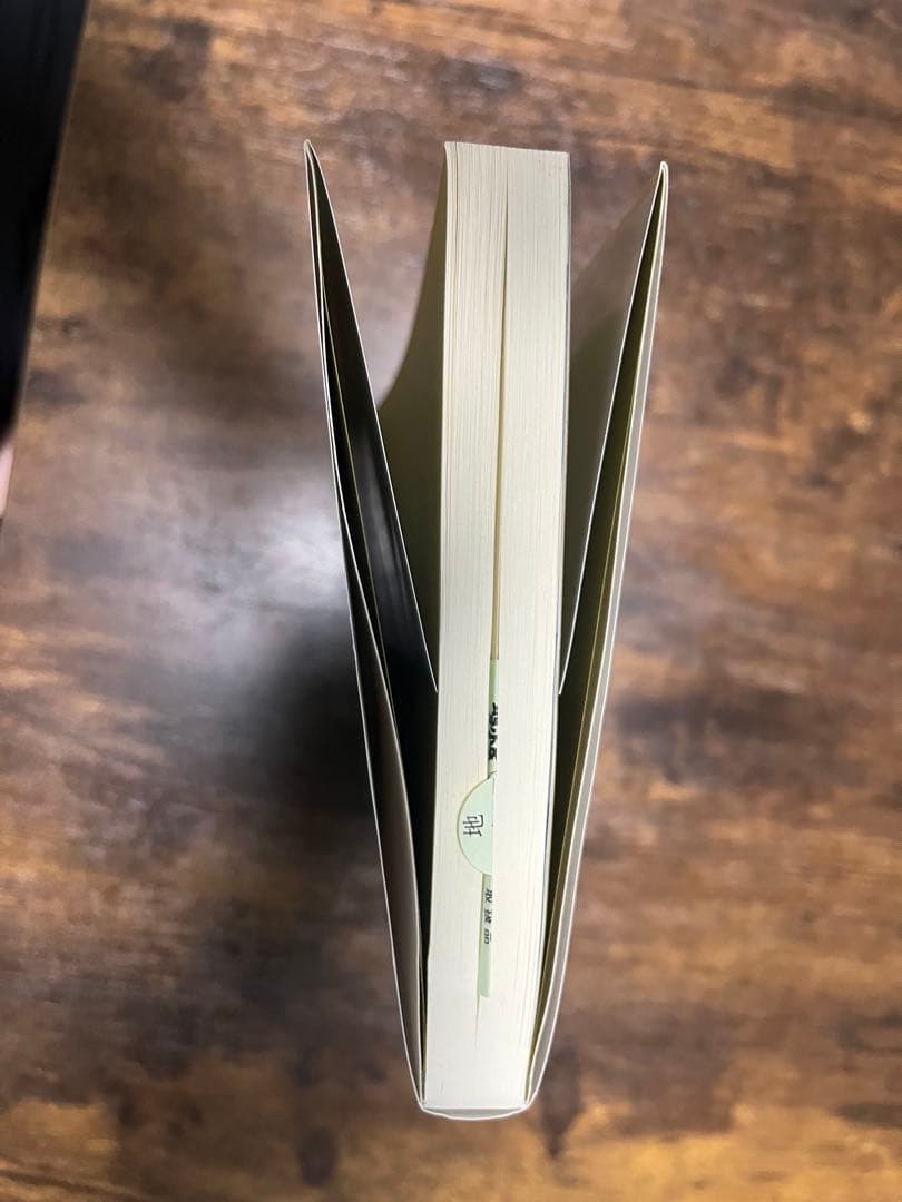 出雲王国とヤマト政権 富士林雅樹著