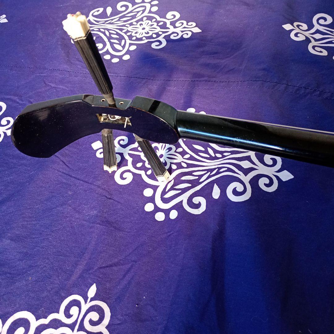 三線本体 伝統的デザイン　人工蛇皮　ハードケース付き