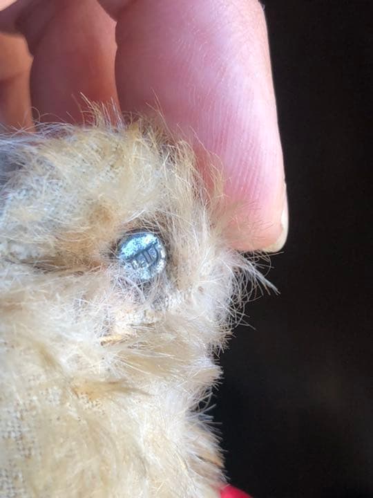 テディクラウン　オリジナル　アンティークシュタイフ