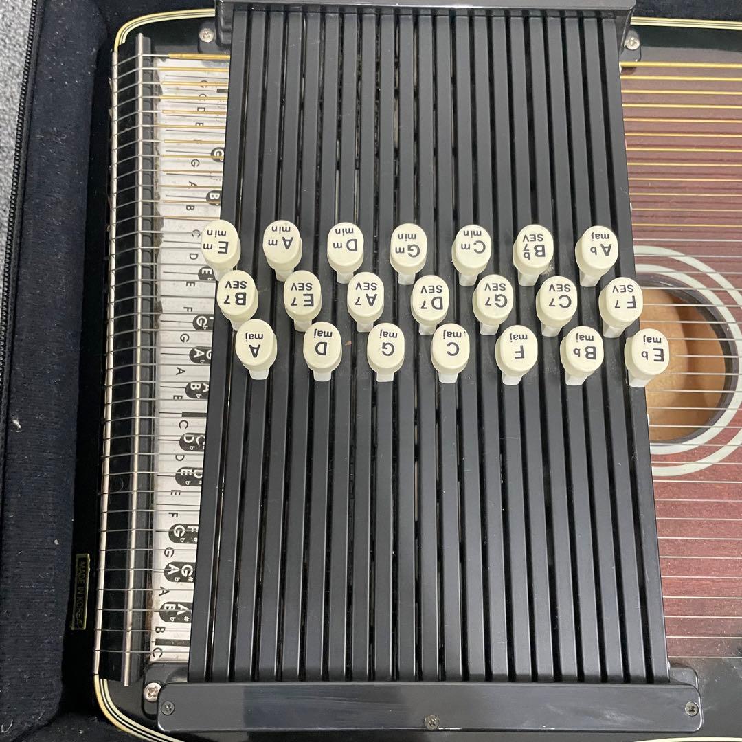 MAVIS マービス エレキハープ 弦楽器