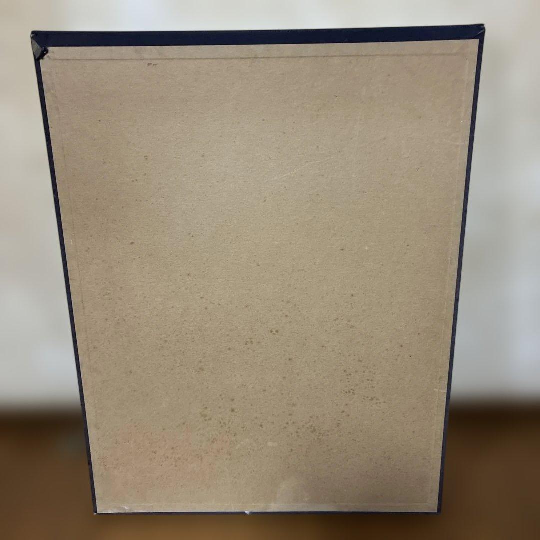 Takehiko Miyanaga 宮永岳彦　リトグラフ？版画　71/100