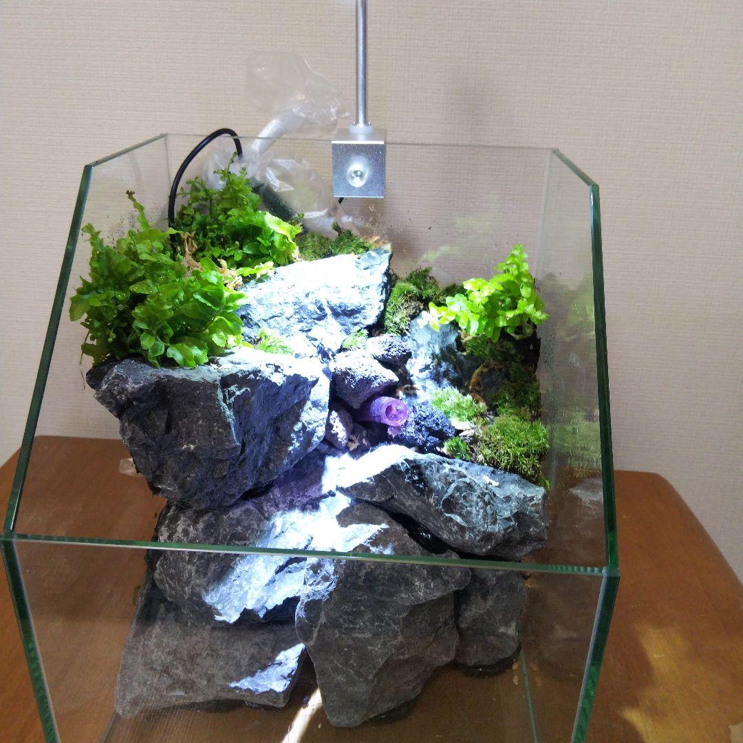 【受注生産】アクアテラリウム