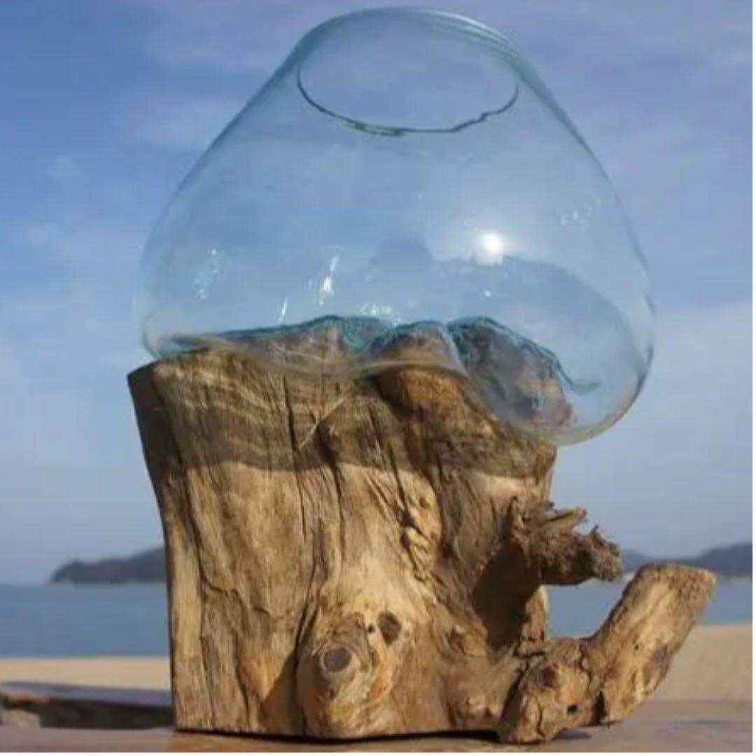 流木ガラス オブジェ超特大LH 花瓶 金魚鉢 ガーデニング テラリウム アート