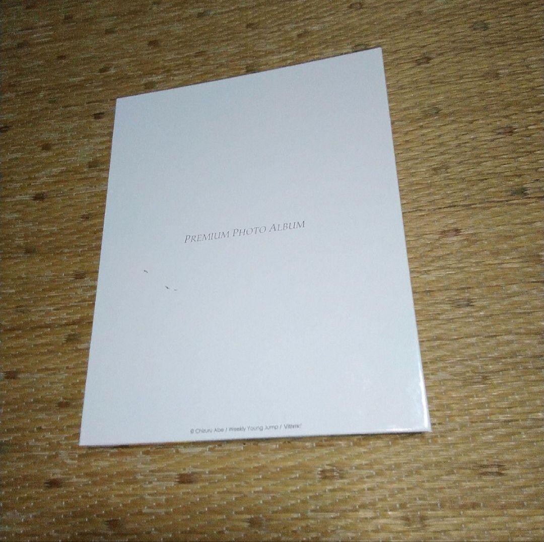 武田玲奈　PREMIUM PHOTO ALBUM 生写真付き