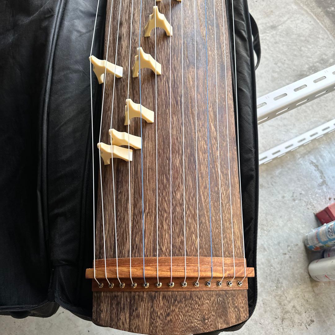 最終値下げ　NEO 琴　美品