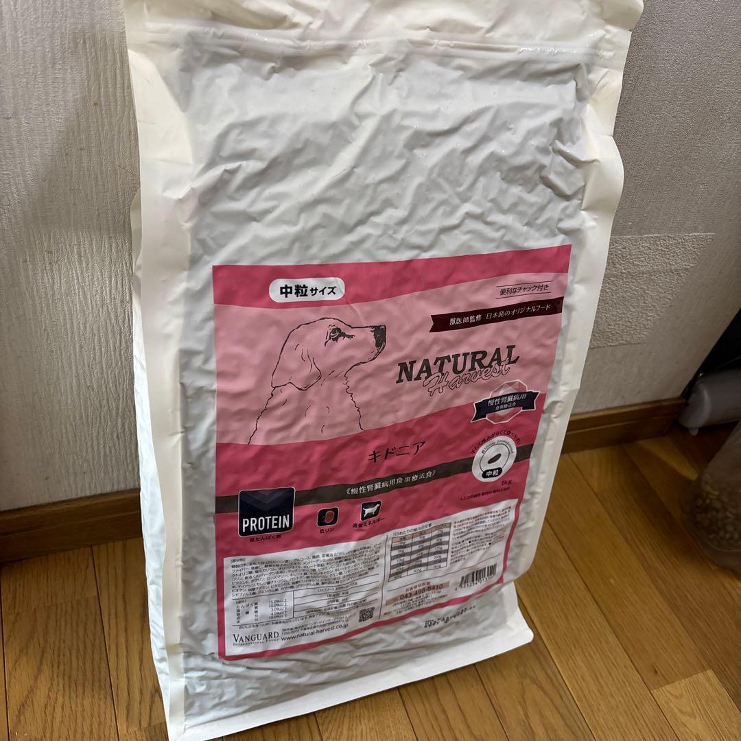 VANGUARD キドニア 6kg