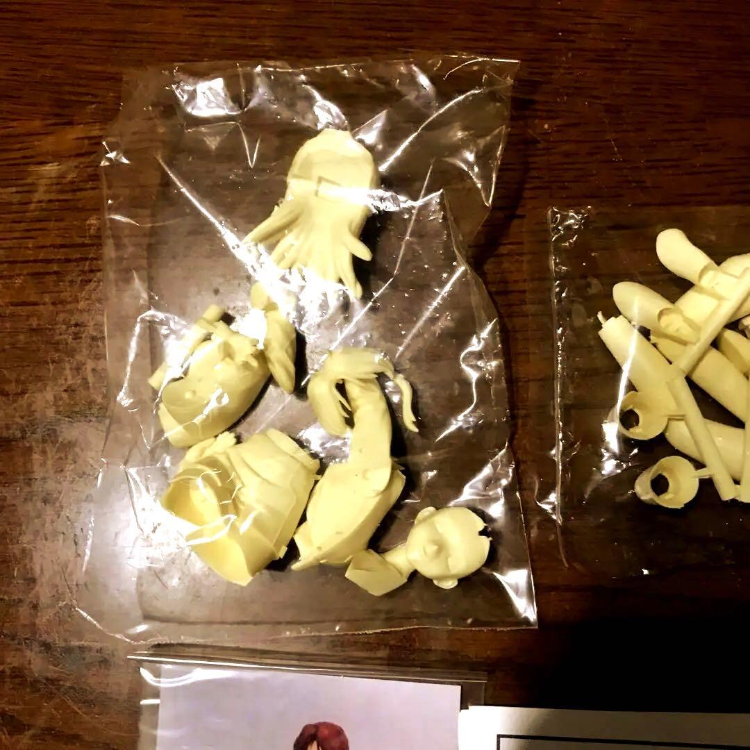 C3限定KOTOBUKIYA製1/8ラクス&1/8フレイガレージキットセット