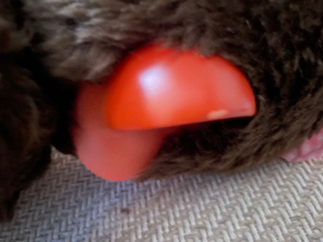 ふたごのモンチッチ ぬいぐるみ 本体