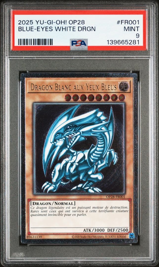 PSA9 EU フランス語 青眼の白龍 ブルーアイズ OTS28 レリーフ