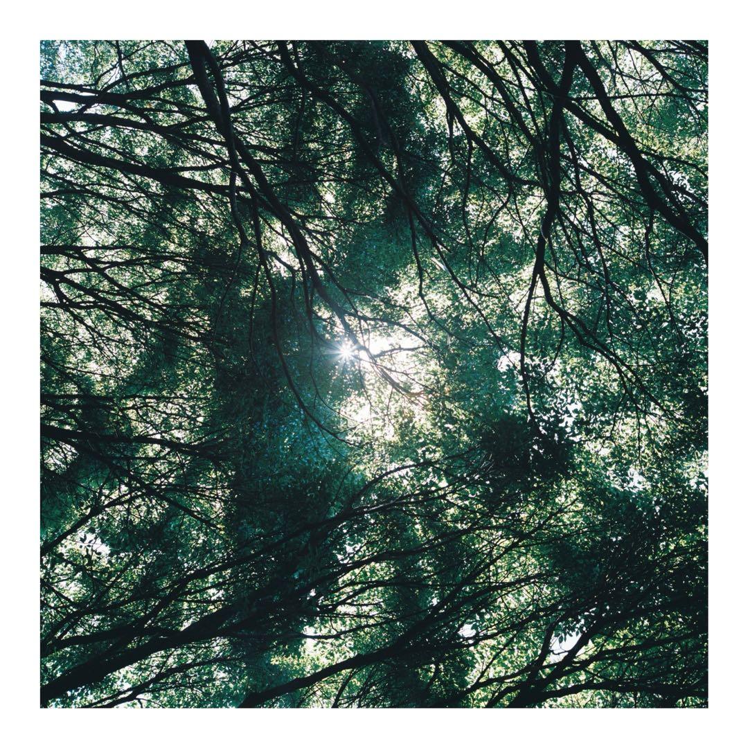 [露出計完動]Rolleiflex 2.8F Planar 80mm 二眼カメラ