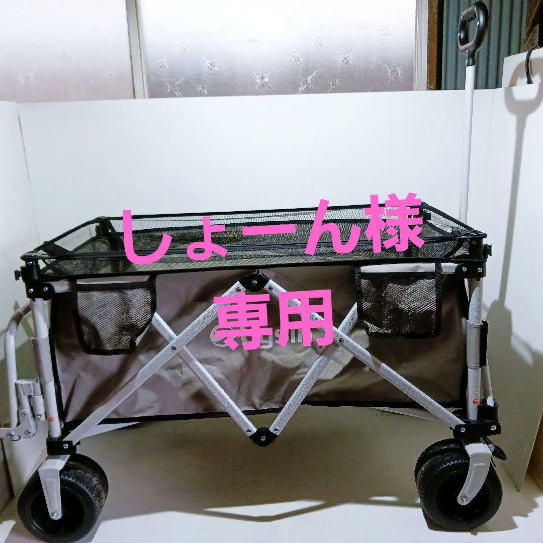 ライシン アウトドアワゴン リアキャリア付き 折り畳み キャリーカート