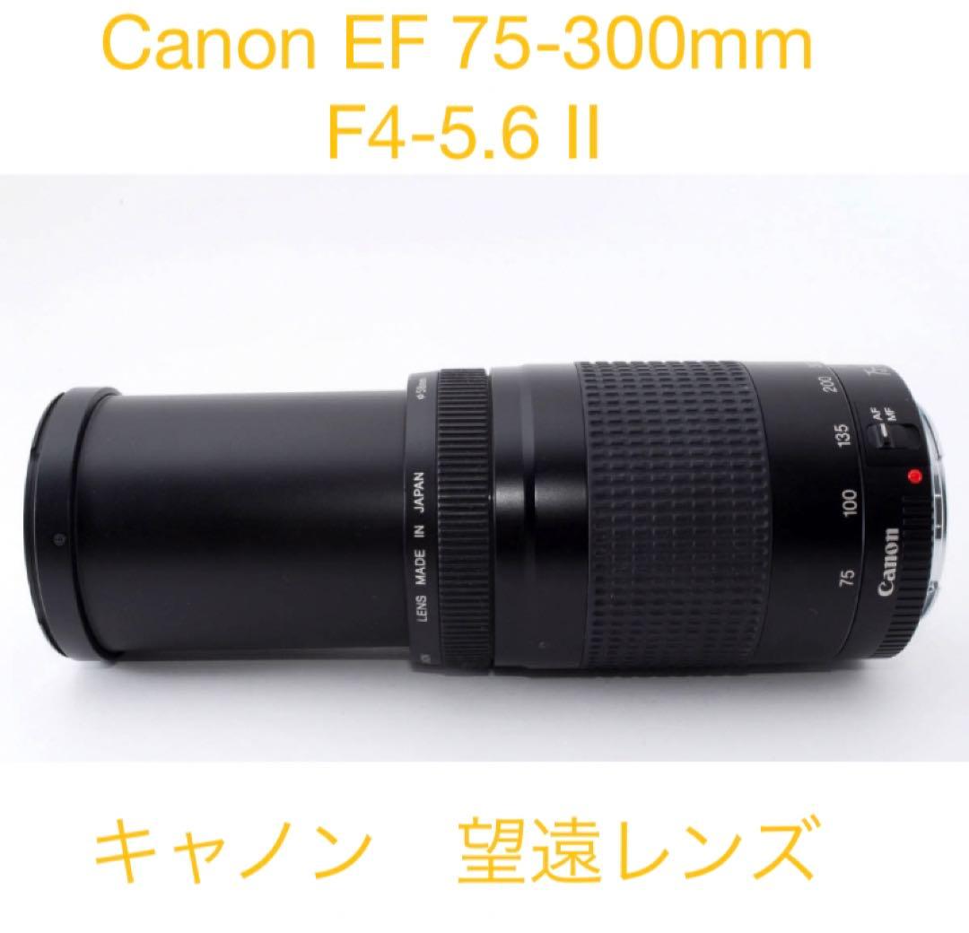 デジタル一眼レフカメラ/Canon EF 75-300㎜ F4-5.6 Ⅱ