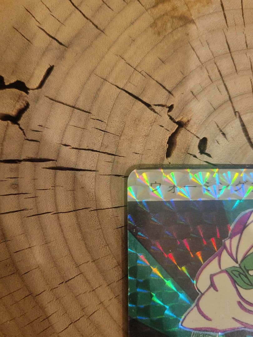 【のりだ&ドラゴン】カードダス20W P・Pカード　ドラゴンボール　ピッコ