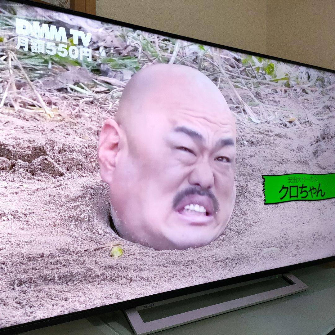 TOSHIBA[2021年製品]55M540X