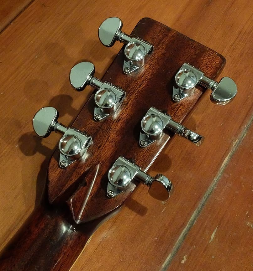 Morales LYRE BIRD M-50 セミハードケース付き