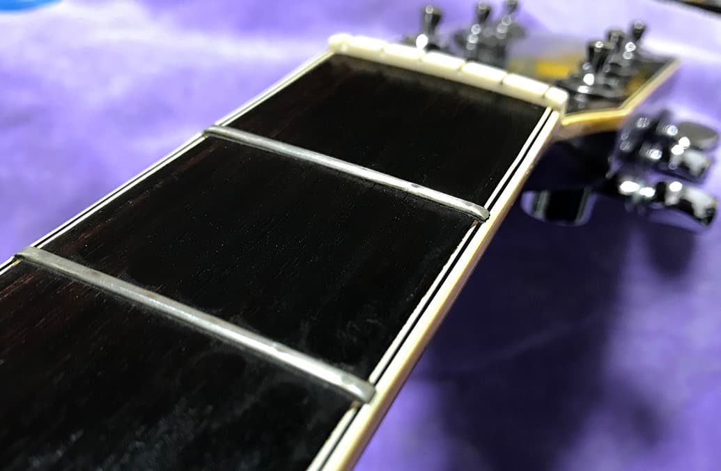 Morales LYRE BIRD M-50 セミハードケース付き